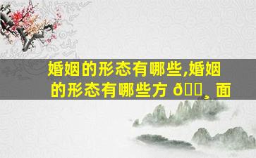婚姻的形态有哪些,婚姻的形态有哪些方 🌸 面